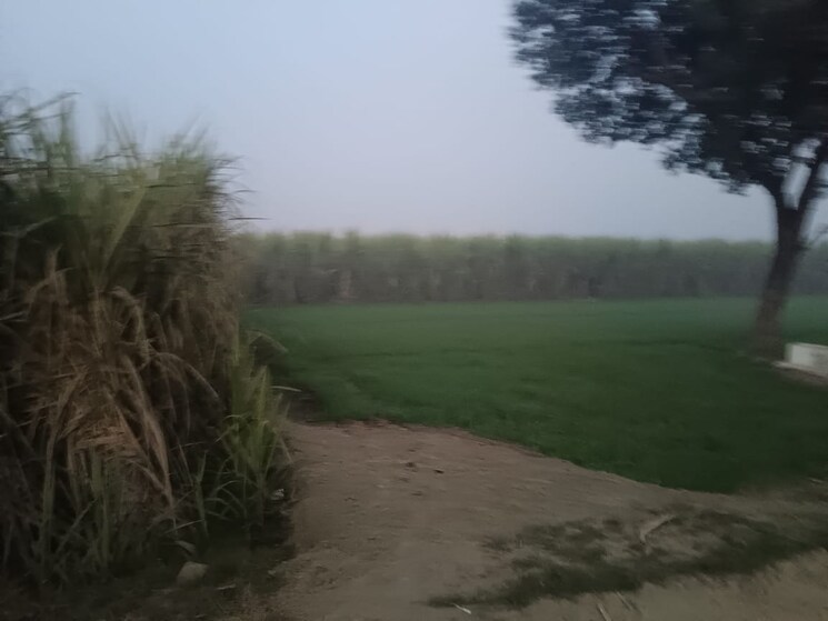 Cover Image, bidhapur  30000 Sq.Ft. Plot In Bidhapur Ghaziabad 9781060