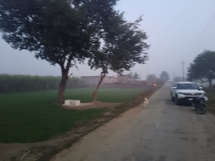 undefined, bidhapur  30000 Sq.Ft. Plot In Bidhapur Ghaziabad 9781060