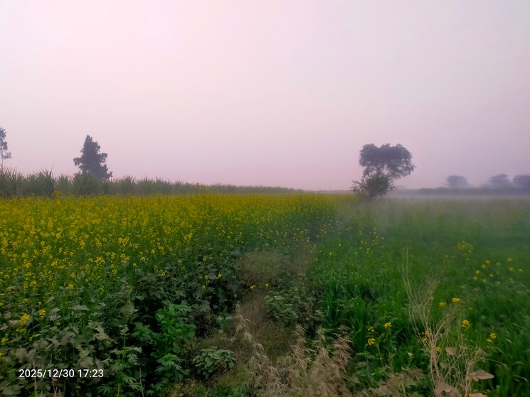 undefined, modinagar Commercial Industrial Plot 10000 Sq.Yd. In Modinagar Ghaziabad 9781142