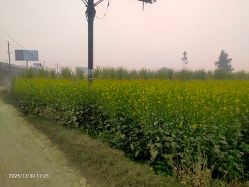 Plot Area in  Industrial Plot at Modinagar – for Sale