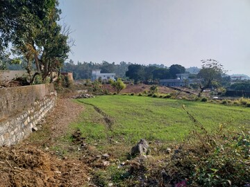  Land For Sale in Bhogpur