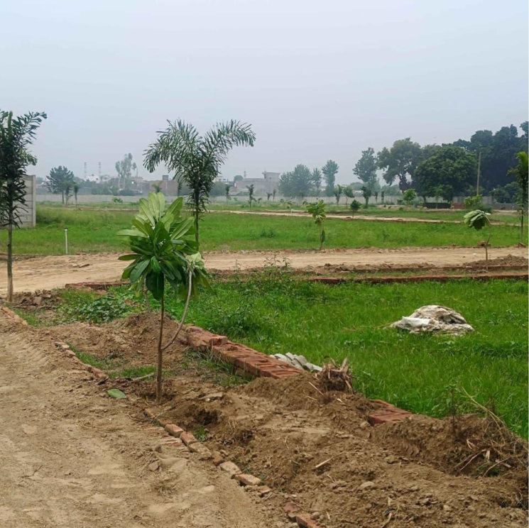 undefined, modipuram  64 Sq.Yd. Plot In Modipuram Meerut 9781599