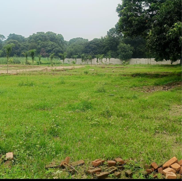 undefined, modipuram  64 Sq.Yd. Plot In Modipuram Meerut 9781599