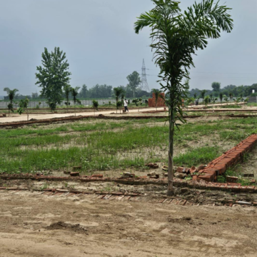 Plot Area in  Plot at Modipuram – for Sale