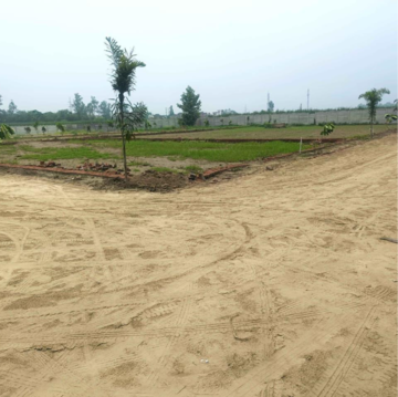 Plot Area in  Plot at Modipuram – for Sale