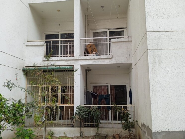 Exterior View, rwa-apartments-sector-52 2 Bedroom 1245 Sq.Ft. Builder Floor In Sector 52 Noida 9781987