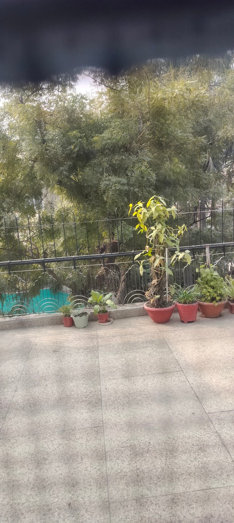 Garden, janakpuri 2 Bedroom 1000 Sq.Ft. Apartment In Janakpuri Delhi 9782108