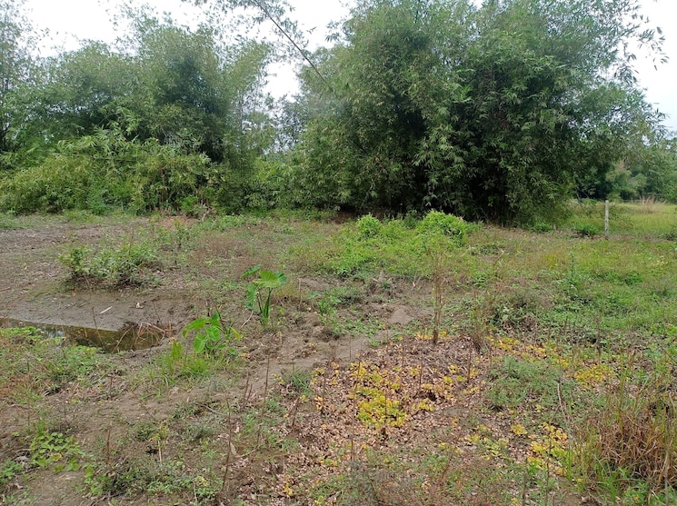 undefined, malancha bazar  1 Acre Plot In Malancha Bazar Kolkata 9782143