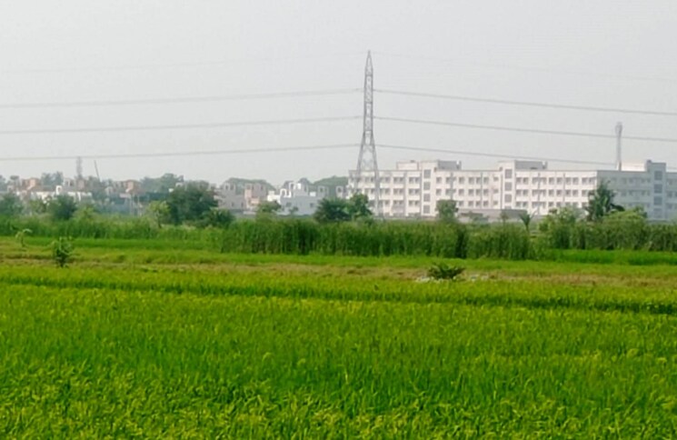 undefined, narayanpur  1441 Sq.Ft. Plot In Narayanpur Kolkata 9782242