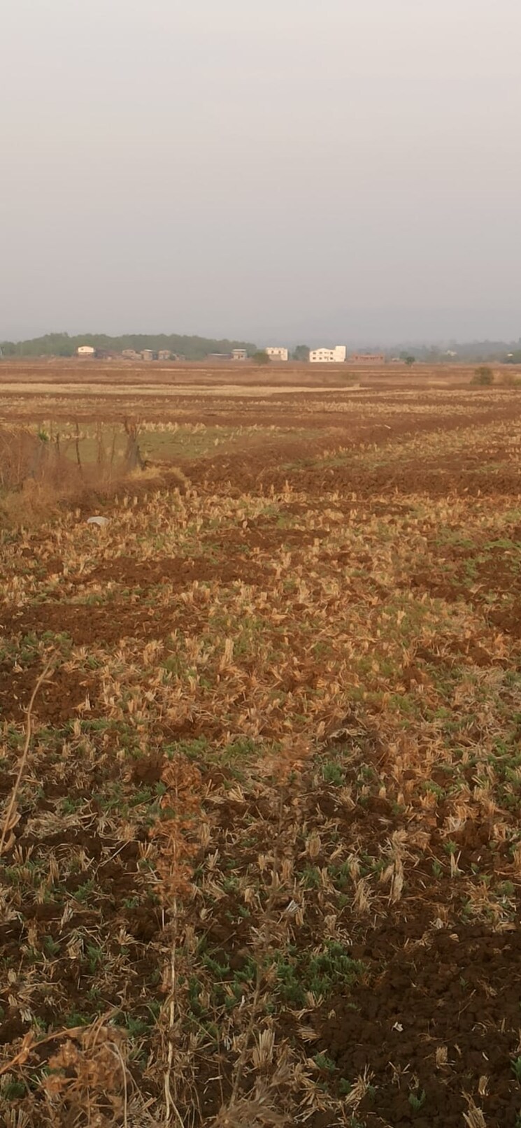 Cover Image, vashi  1089 Sq.Ft. Plot In Vashi Navi Mumbai 9782527