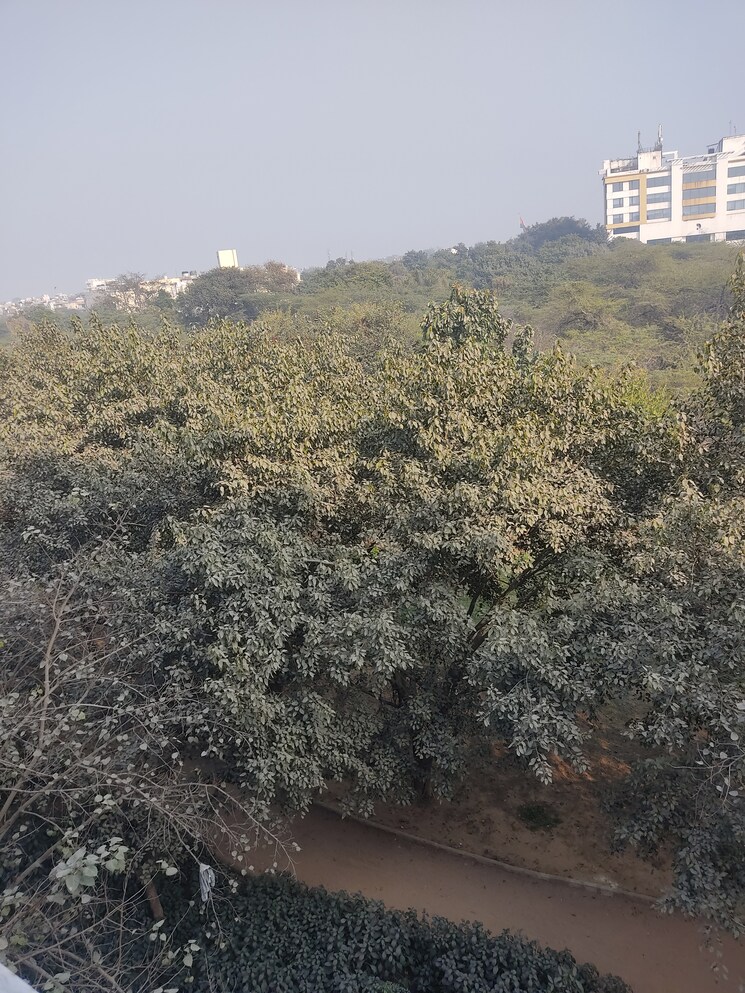 Exterior View, panchsheel vihar 1 Bedroom 50 Sq.Yd. Builder Floor In Panchsheel Vihar Delhi 9786434