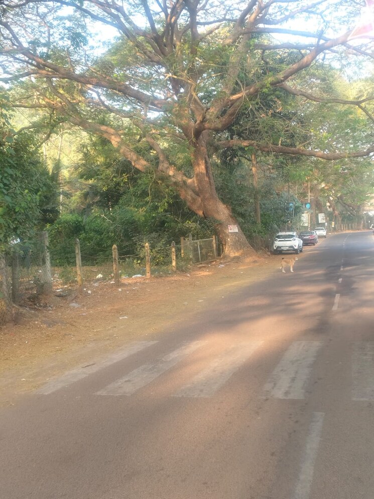Garden, candolim Commercial Land 15 Acre In Candolim Goa 9787877