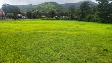  Plot For Sale in Mulshi