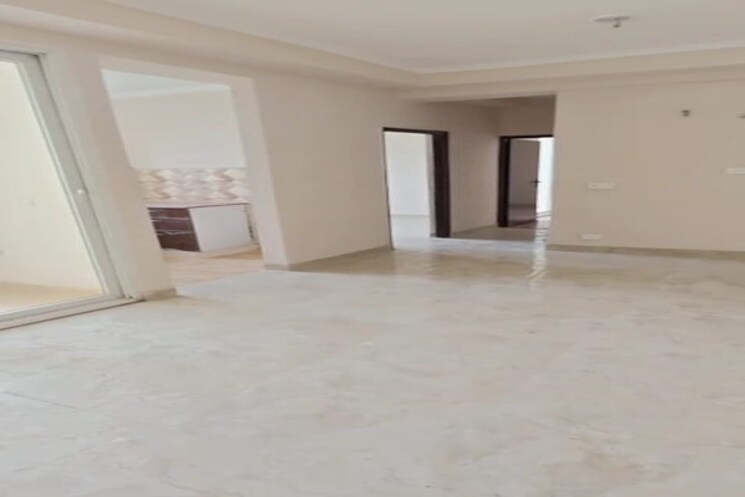 Cover Image, amrapali-exotica 2 Bedroom 945 Sq.Ft. Apartment In Sector 50 Noida 9791691