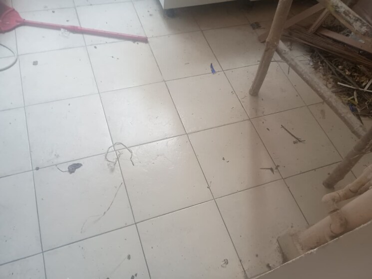 undefined, gaur-sportswood 3 Bedroom 1700 Sq.Ft. Apartment In Sector 79 Noida 9792257