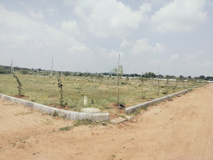 undefined, shadnagar  150 Sq.Yd. Plot In Shadnagar Hyderabad 9793087