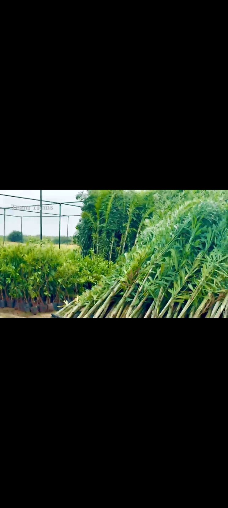 Garden, aduri-golden-heights  200 Sq.Yd. Plot In Shadnagar Hyderabad 9794485