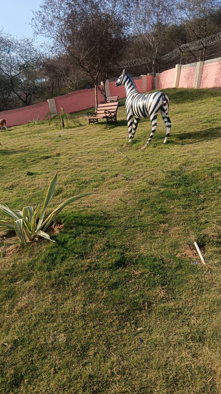 undefined, unnati-vihar  155 Sq.Yd. Plot In Sikar Road Jaipur 9794629