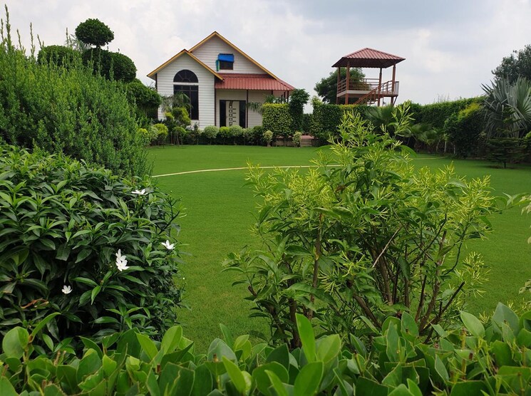 Cover Image, sector 135  2018 Sq.Yd. Plot In Sector 135 Noida 9795901