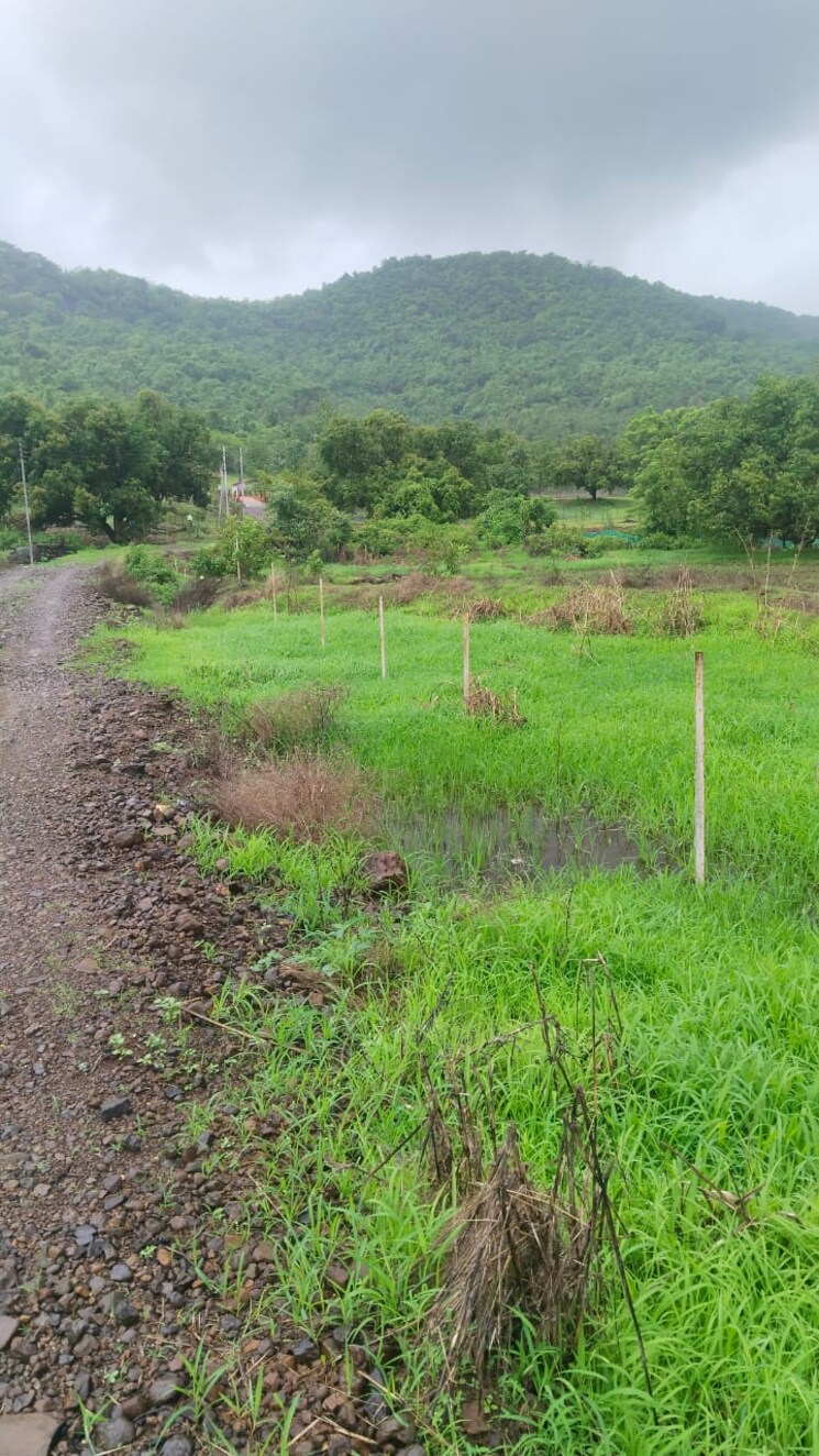 undefined, vindhane Commercial Land 1089 Sq.Ft. In Vindhane Navi Mumbai 9797096