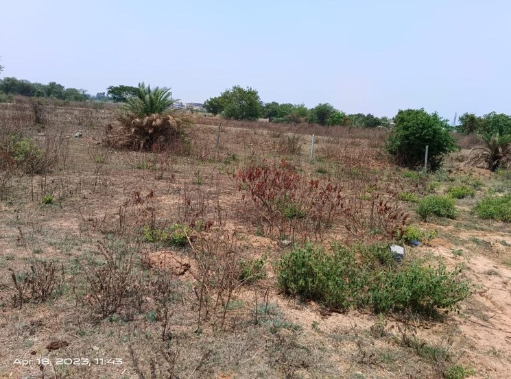 undefined, deopuri  973 Sq.Ft. Plot In Deopuri Raipur 9805909