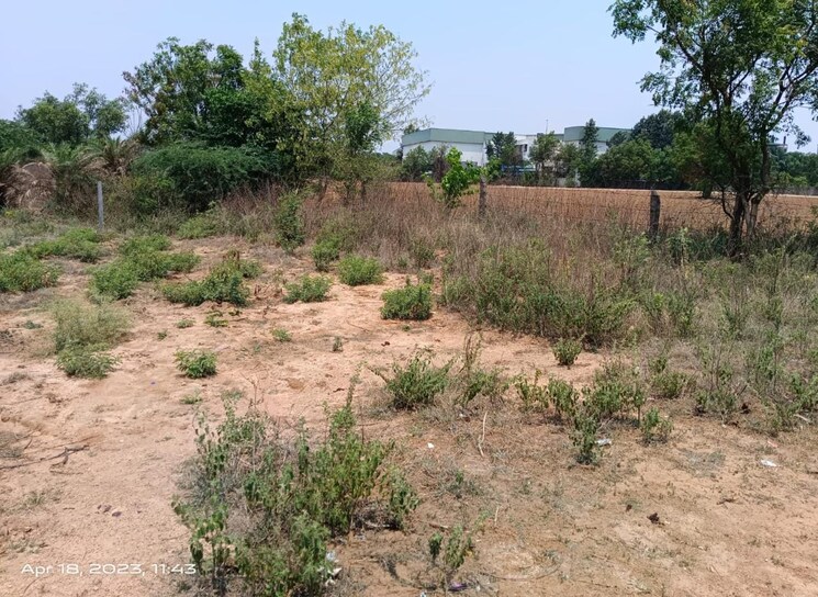 undefined, deopuri  973 Sq.Ft. Plot In Deopuri Raipur 9805909