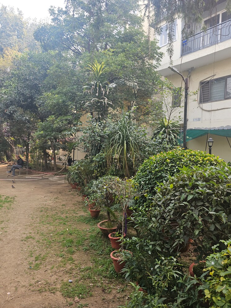 Cover Image, alaknanda 3 Bedroom 1400 Sq.Ft. Apartment In Alaknanda Delhi 9808933