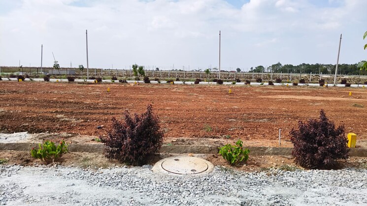 Cover Image, gauribidanur  1200 Sq.Ft. Plot In Gauribidanur Bangalore 9809246