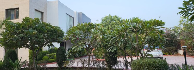 Cover Image, asola 5 Bedroom 2400 Sq.Yd. Independent House In Asola Delhi 9810342