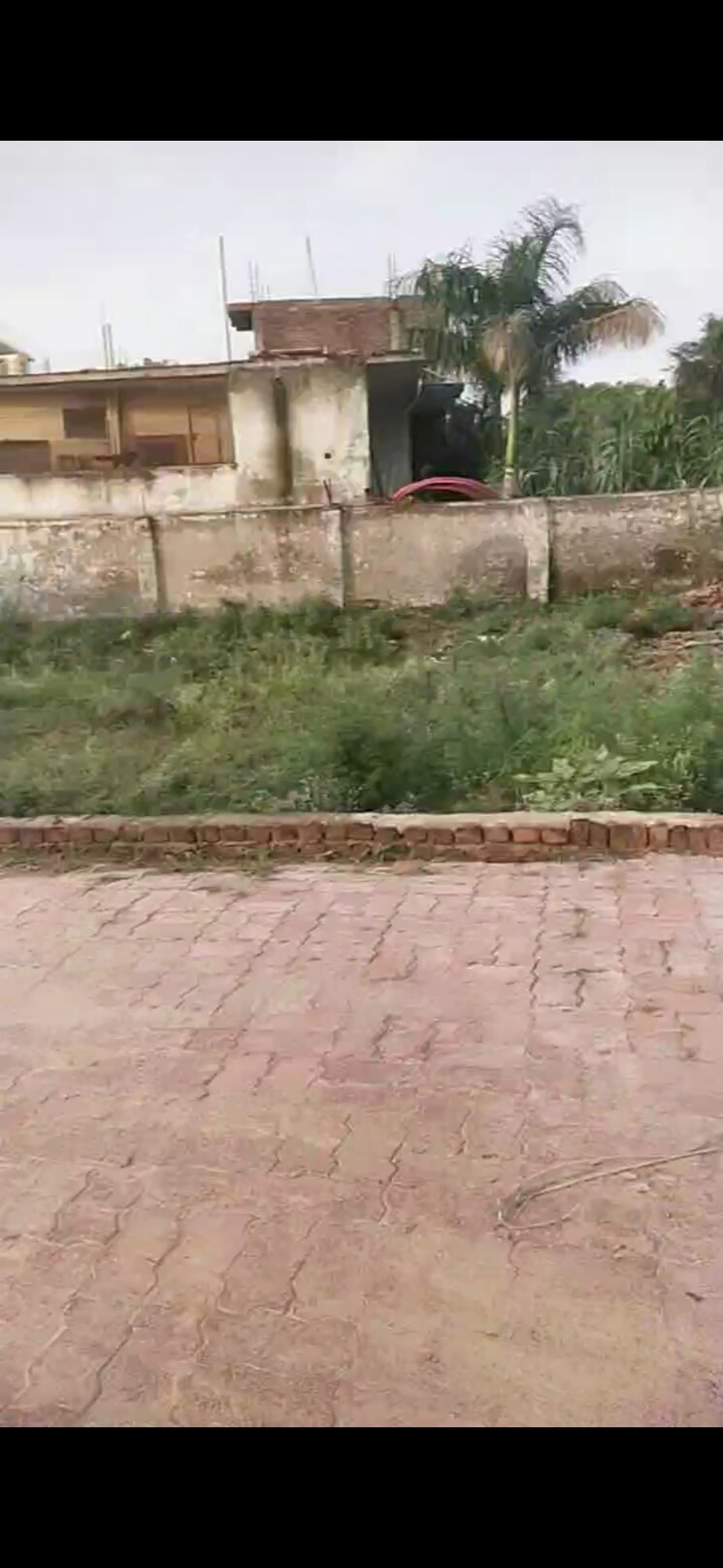 Exterior View, rsa-paradise-dream-city  100 Sq.Yd. Plot In Tilapta Greater Noida 9810529