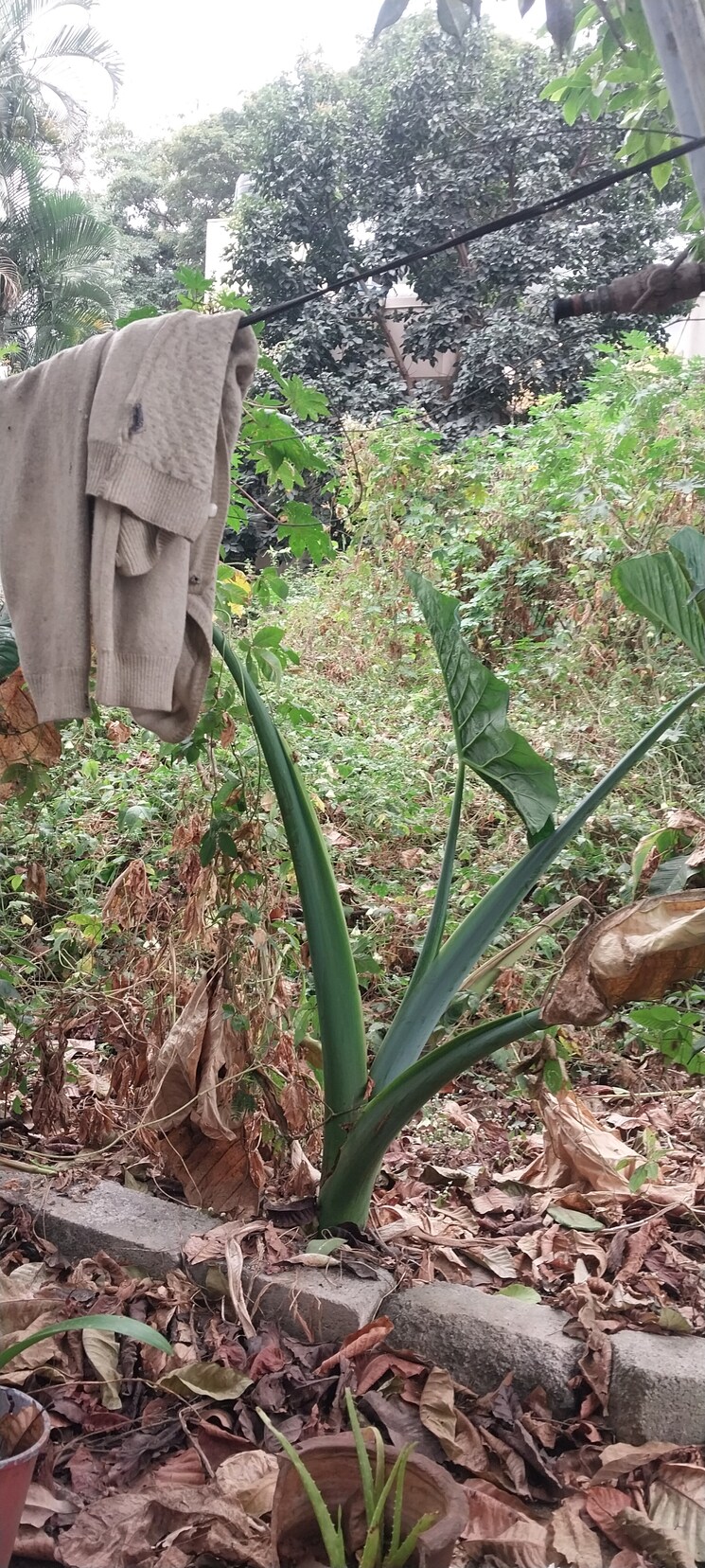 Exterior View, uttarahalli  1575 Sq.Ft. Plot In Uttarahalli Bangalore 9810921