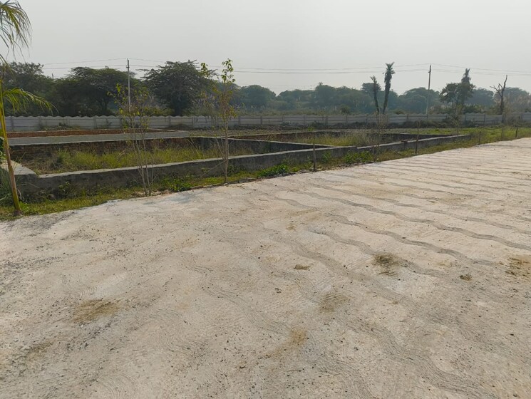 undefined, dadri  100 Sq.Yd. Plot In Dadri Greater Noida 9812038