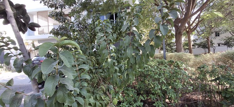 Master Plan, rajapushpa-green-dale 4 Bedroom 4011 Sq.Ft. Villa In Tellapur Hyderabad 9812947