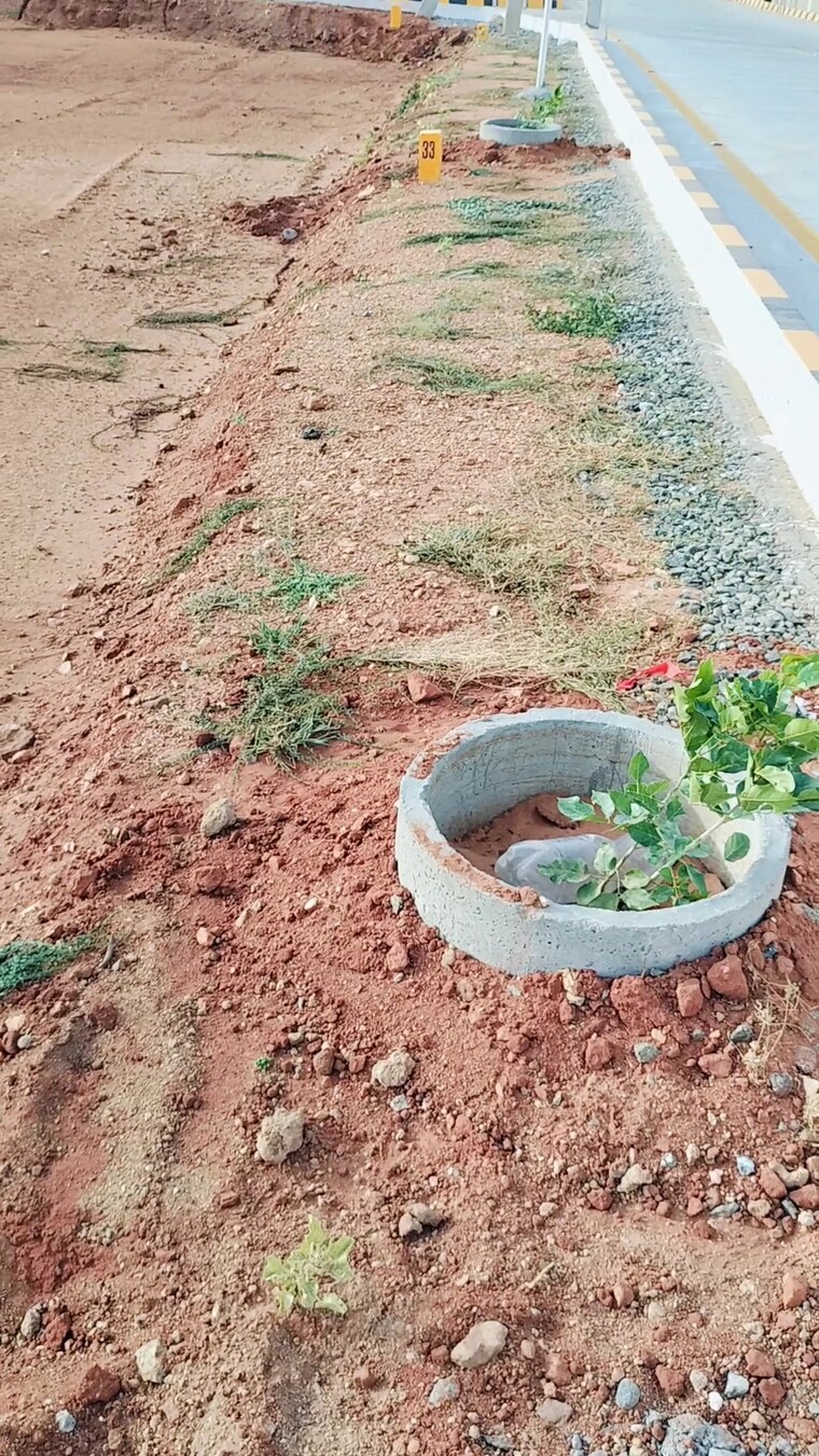 undefined, allithurai  1200 Sq.Ft. Plot In Allithurai Trichy 9812997