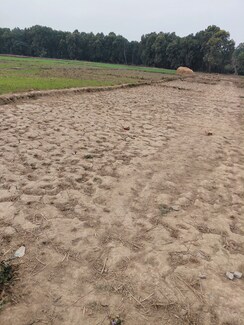 Plot For Sale in Raipur Road