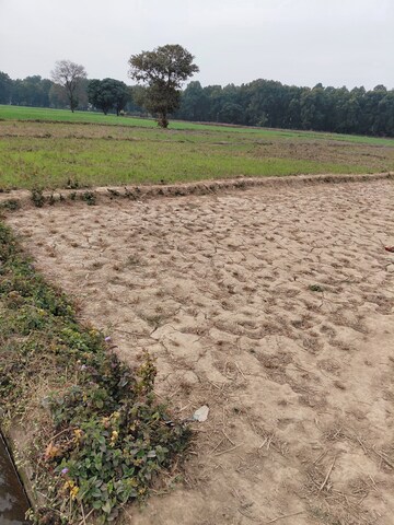  Plot – Exterior View View at Raipur Road - for Sale