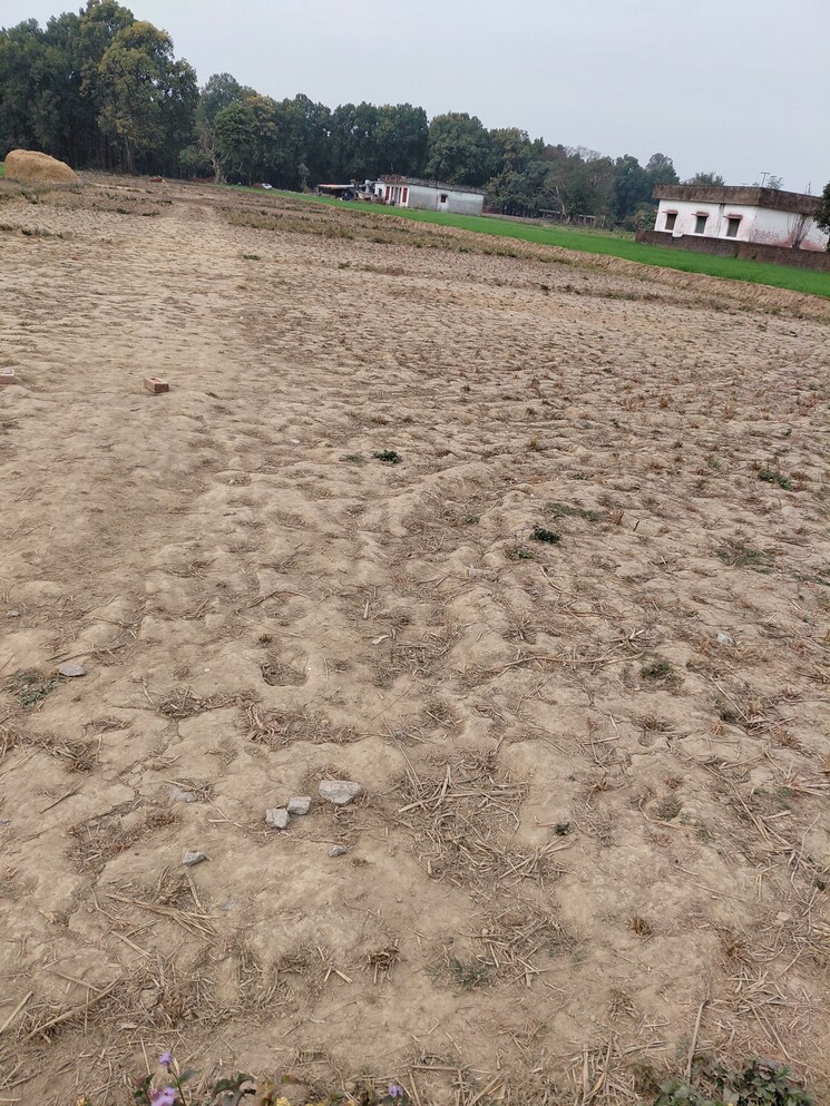 Exterior View, raipur road  150 Sq.Yd. Plot In Raipur Road Dehradun 9812995