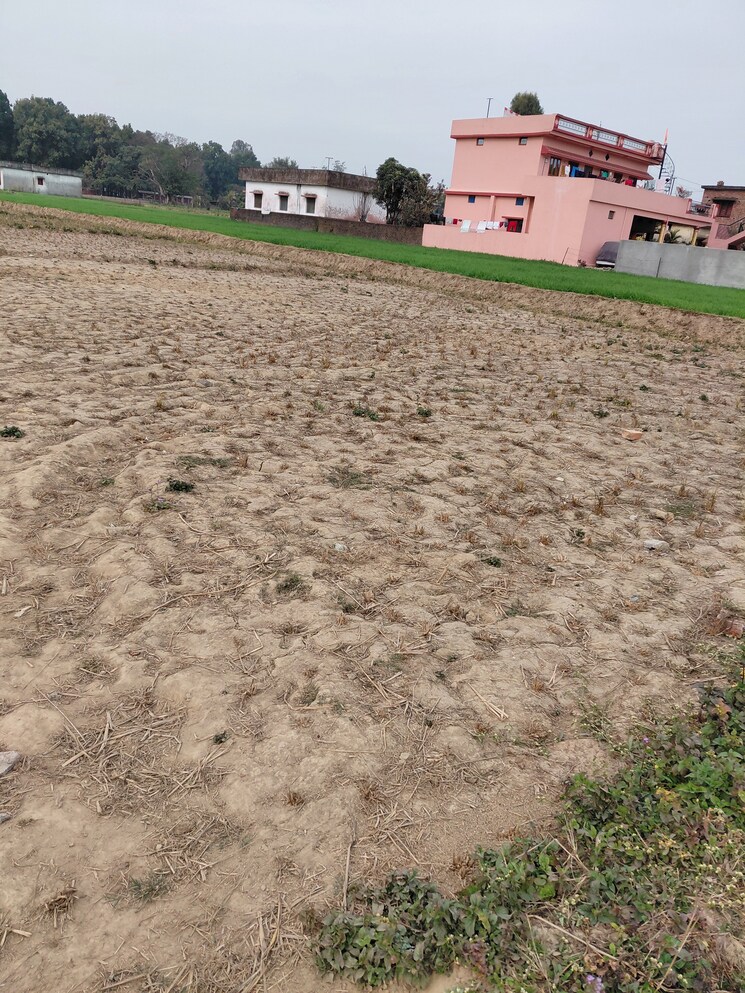 Exterior View, raipur road  150 Sq.Yd. Plot In Raipur Road Dehradun 9812995