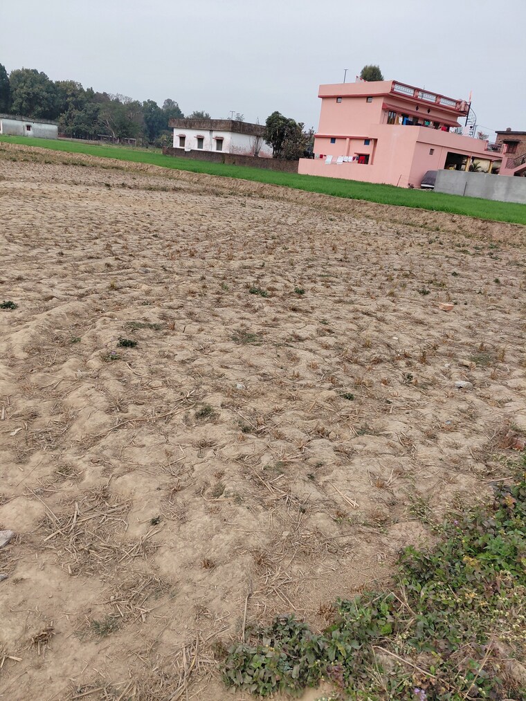 Exterior View, raipur road  150 Sq.Yd. Plot In Raipur Road Dehradun 9812995