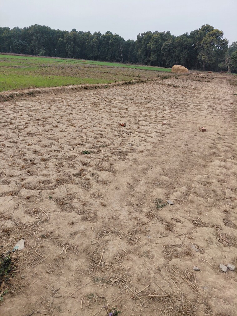 Exterior View, raipur road  150 Sq.Yd. Plot In Raipur Road Dehradun 9812995