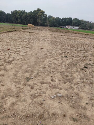 Plot Area in  Plot at Raipur Road – for Sale