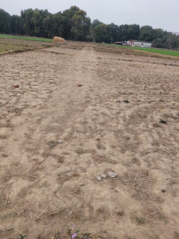 Plot Area in  Plot at Raipur Road – for Sale