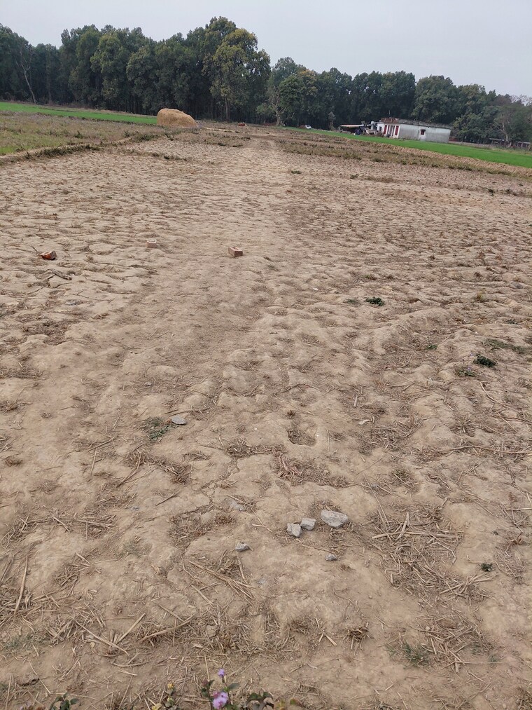 undefined, raipur road  150 Sq.Yd. Plot In Raipur Road Dehradun 9812995