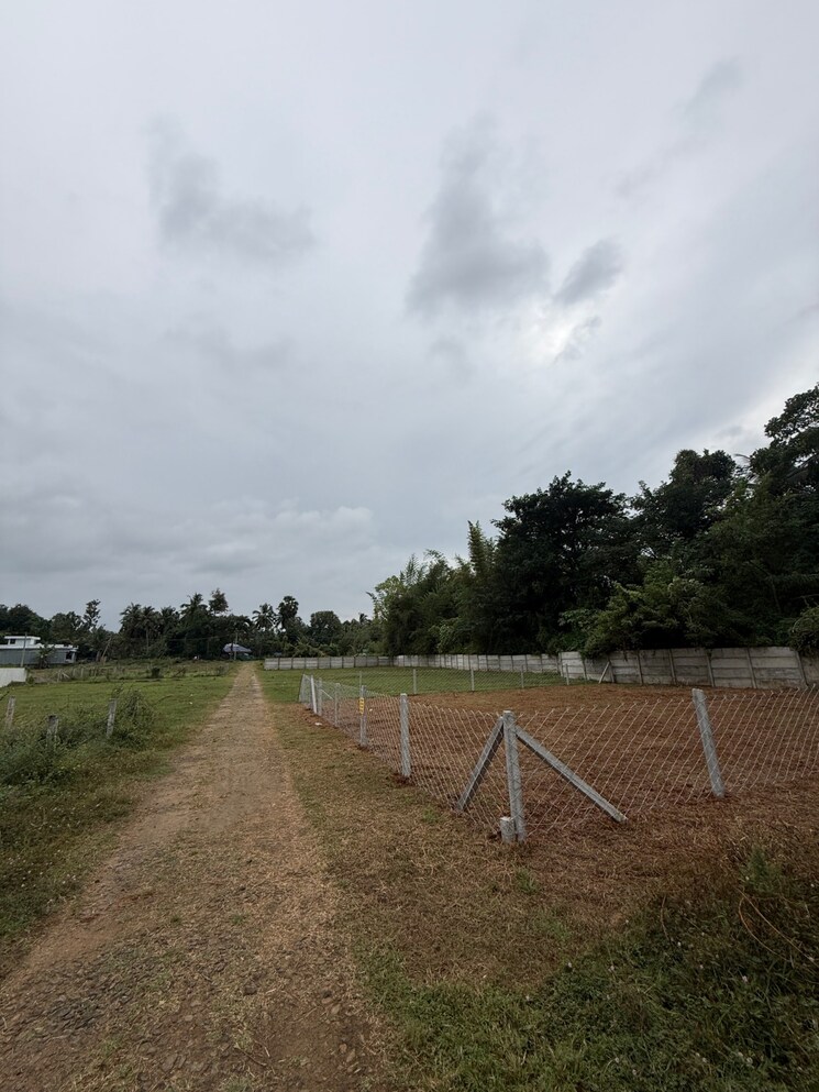 undefined, olavakkode  1308 Sq.Ft. Plot In Olavakkode Palakkad 9813374