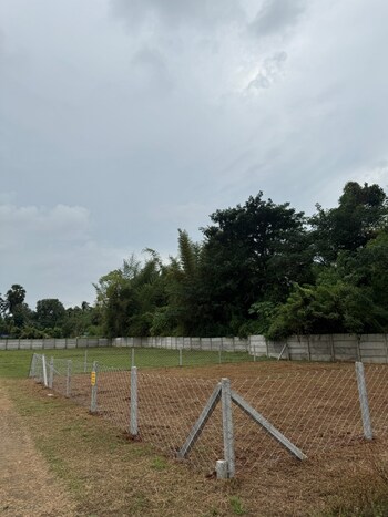 Plot for Sale in Olavakkode, Palakkad