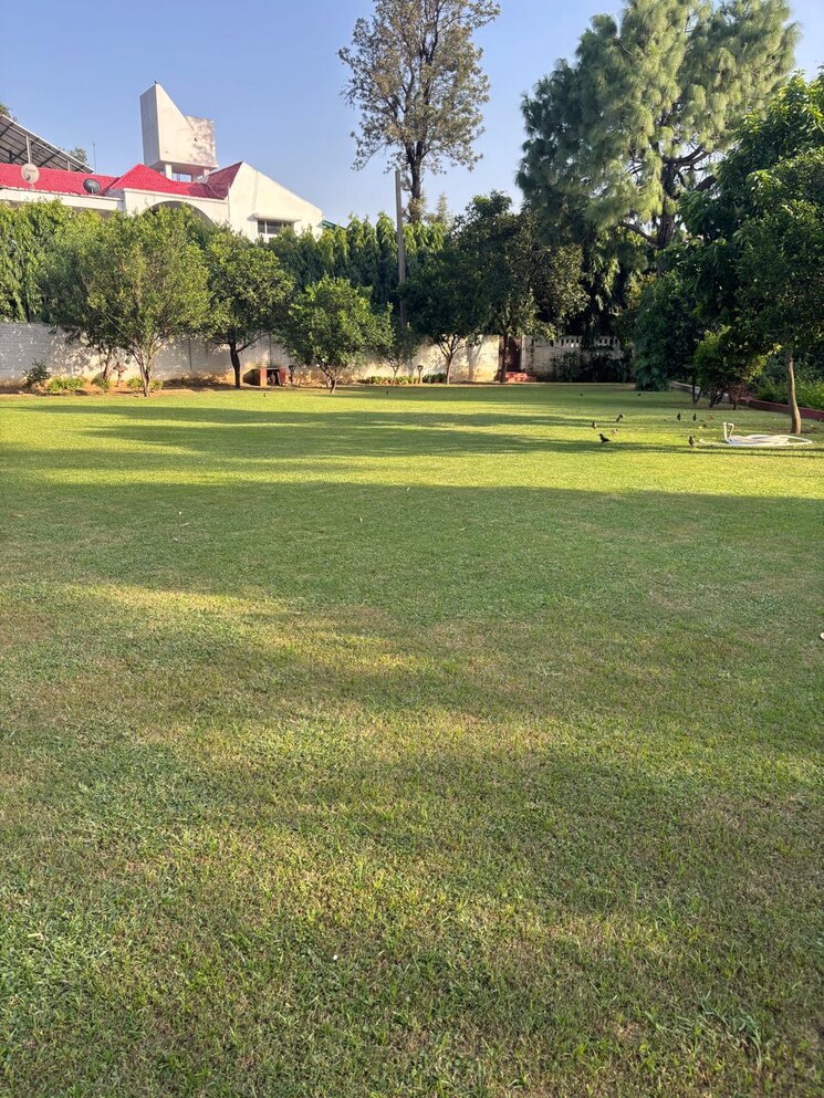 Garden, sainik farm 5 Bedroom 3000 Sq.Ft. Villa In Sainik Farm Delhi 9813424