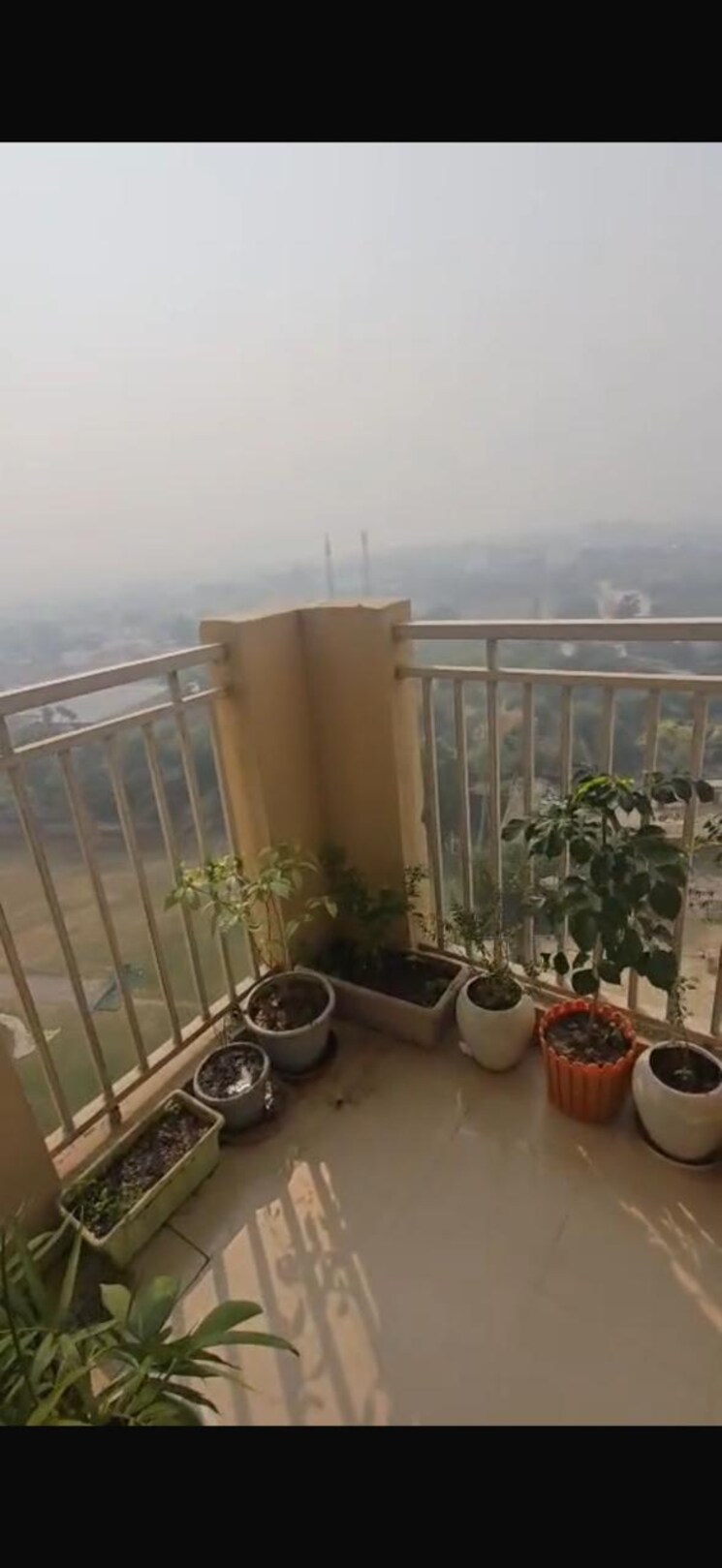 Balcony, nirala-estate 2 Bedroom 955 Sq.Ft. Apartment In Tech Zone 4 Greater Noida Greater Noida 9813944