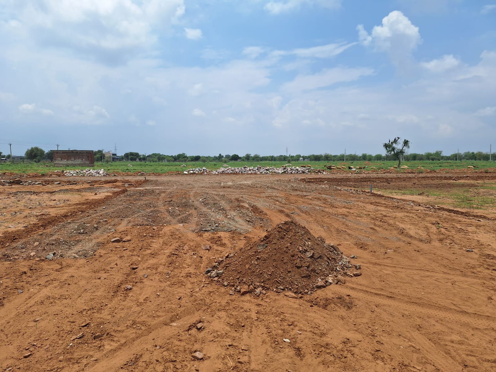 Plot For Sale in Renwal Manji