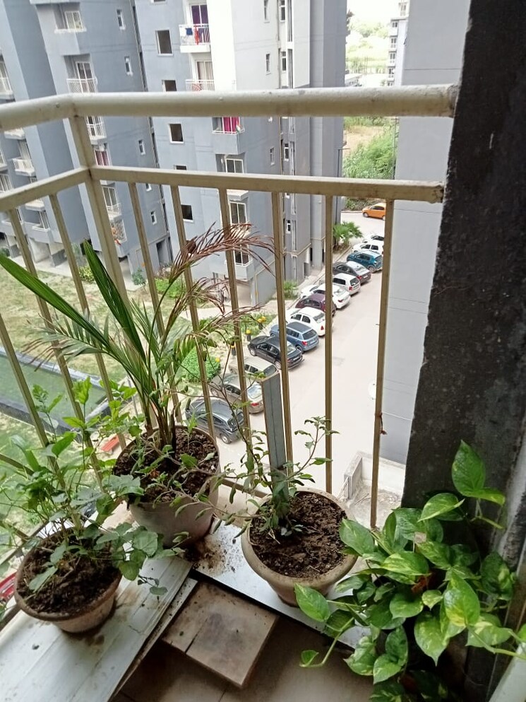 Balcony, aditya-urban-homes 1 Bedroom 585 Sq.Ft. Apartment In Shahpur Bamheta Ghaziabad 9819548