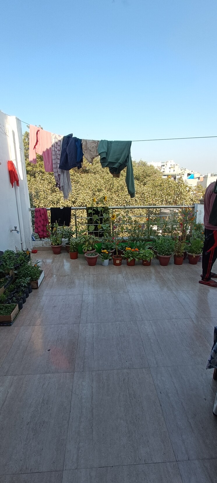 Garden, rohini sector 8 2 Bedroom 600 Sq.Ft. Builder Floor In Rohini Sector 8 Delhi 9820529